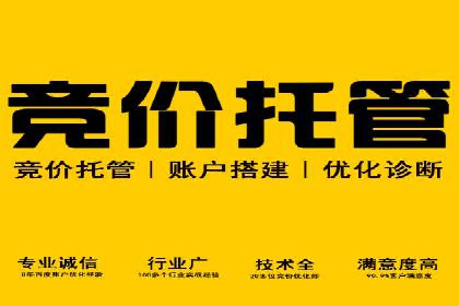 实战技巧：竞价推广案例解析与效果评估
